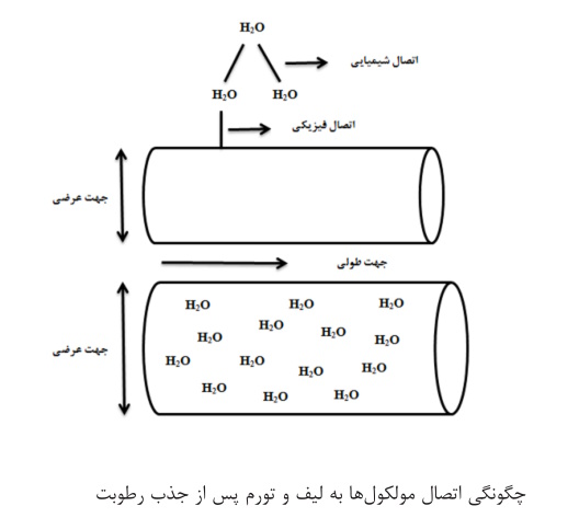اتصال مولکول به لیف